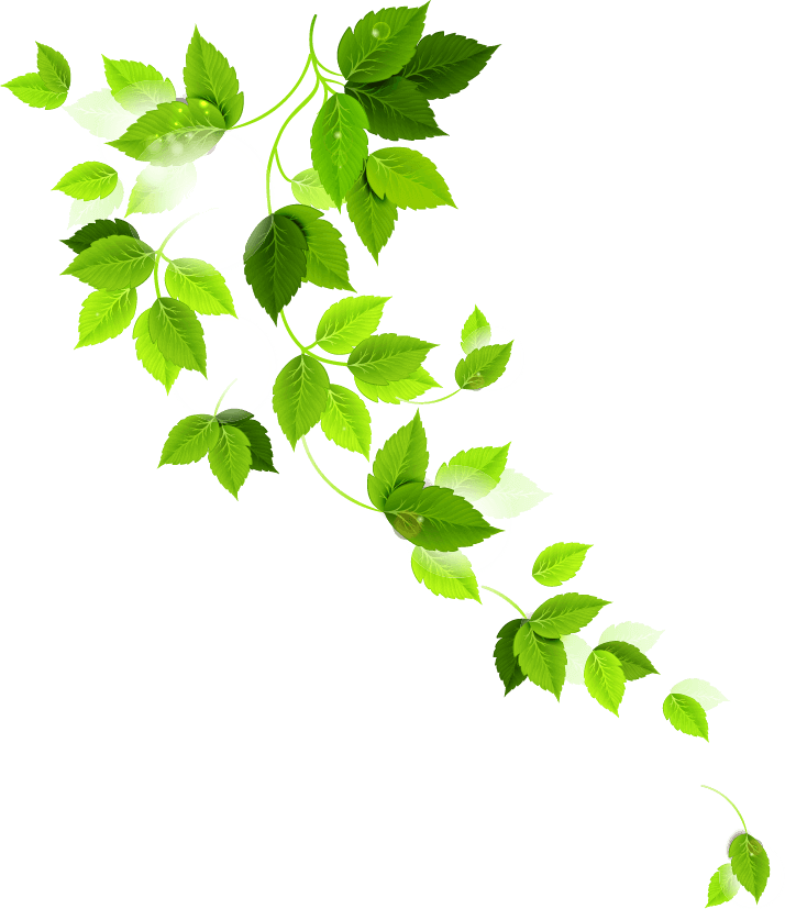 Decorative Shape